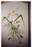 bouquet-champetre-08