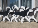 huski-16-large