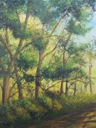 l-oree-du-bois-huile-5